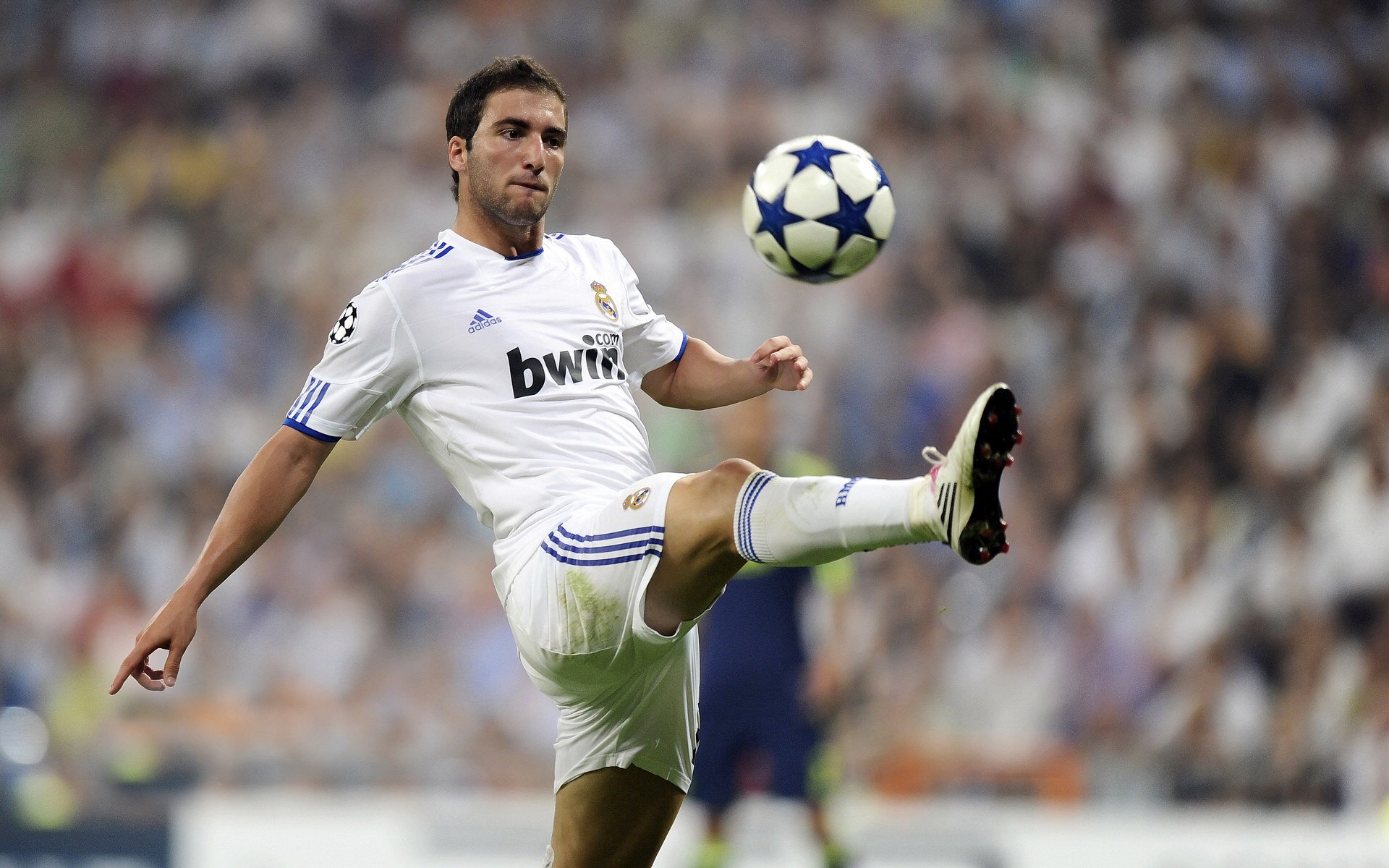 猛龙末节带走森林狼,米切尔在欧冠决赛接管比赛,体育世界里,真正的带走是什么?